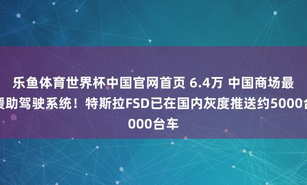 乐鱼体育世界杯中国官网首页 6.4万 中国商场最贵援助驾驶系统！特斯拉FSD已在国内灰度推送约5000台车