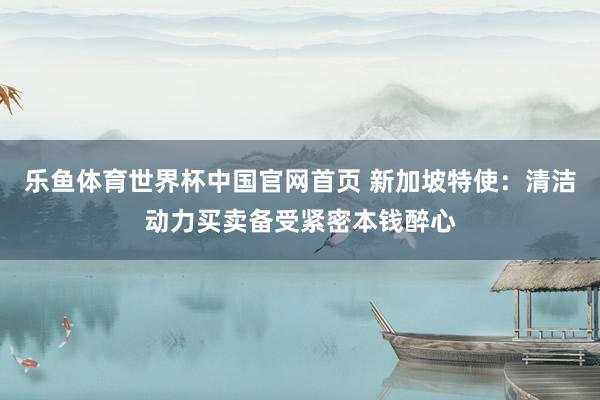 乐鱼体育世界杯中国官网首页 新加坡特使：清洁动力买卖备受紧密本钱醉心
