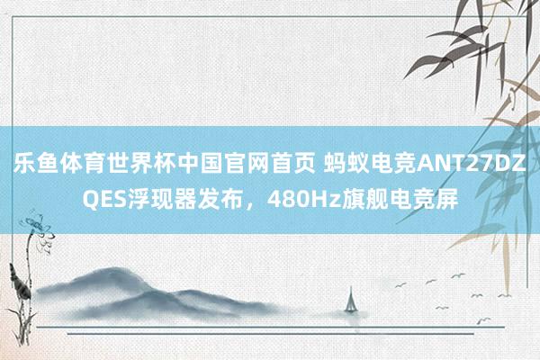 乐鱼体育世界杯中国官网首页 蚂蚁电竞ANT27DZQES浮现器发布，480Hz旗舰电竞屏