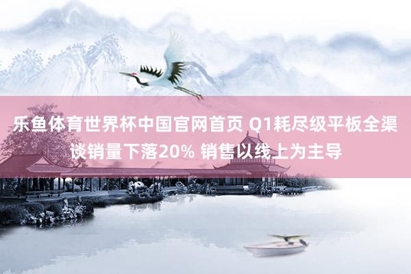 乐鱼体育世界杯中国官网首页 Q1耗尽级平板全渠谈销量下落20% 销售以线上为主导