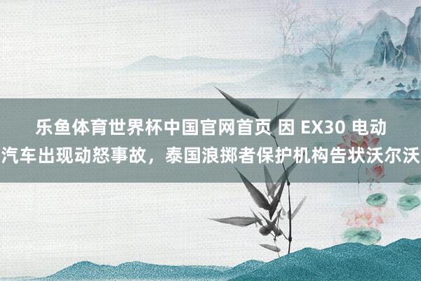 乐鱼体育世界杯中国官网首页 因 EX30 电动汽车出现动怒事故，泰国浪掷者保护机构告状沃尔沃