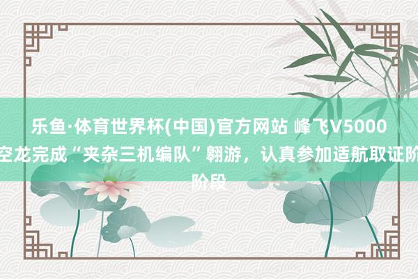 乐鱼·体育世界杯(中国)官方网站 峰飞V5000天空龙完成“夹杂三机编队”翱游，认真参加适航取证阶段