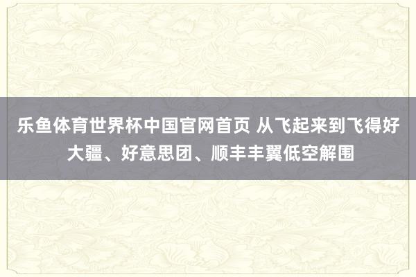 乐鱼体育世界杯中国官网首页 从飞起来到飞得好 大疆、好意思团、顺丰丰翼低空解围
