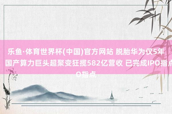 乐鱼·体育世界杯(中国)官方网站 脱胎华为仅5年！国产算力巨头超聚变狂揽582亿营收 已完成IPO指点