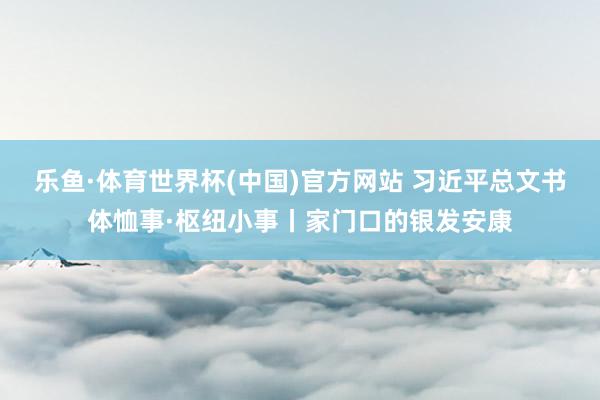 乐鱼·体育世界杯(中国)官方网站 习近平总文书体恤事·枢纽小事丨家门口的银发安康