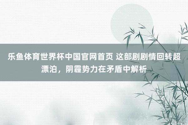 乐鱼体育世界杯中国官网首页 这部剧剧情回转超漂泊，阴霾势力在矛盾中解析