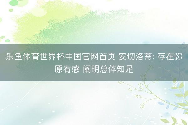 乐鱼体育世界杯中国官网首页 安切洛蒂: 存在弥原宥感 阐明总体知足