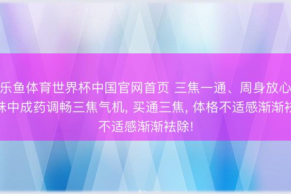 乐鱼体育世界杯中国官网首页 三焦一通、周身放心! 1味中成药调畅三焦气机， 买通三焦， 体格不适感渐渐袪除!