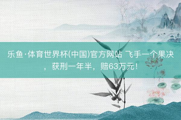 乐鱼·体育世界杯(中国)官方网站 飞手一个果决，获刑一年半，赔63万元！