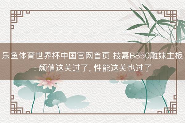 乐鱼体育世界杯中国官网首页 技嘉B850雕妹主板: 颜值这关过了, 性能这关也过了