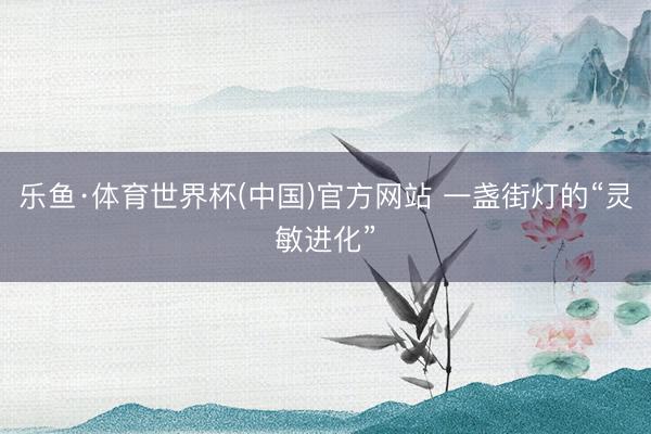 乐鱼·体育世界杯(中国)官方网站 一盏街灯的“灵敏进化”
